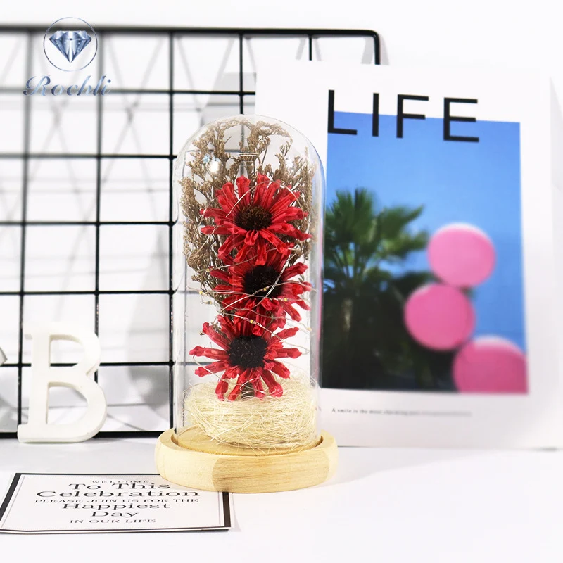 Eternal Flower Glass Cover Base with Lamp Dry Flower Teacher's Day Christmas Decoration Crafts Simulation Flower Lighting Overview