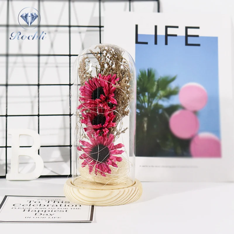 Eternal Flower Glass Cover Base with Lamp Dry Flower Teacher's Day Christmas Decoration Crafts Simulation Flower Lighting