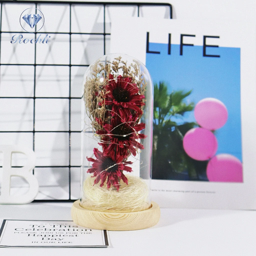 Eternal Flower Glass Cover Base with Lamp Dry Flower Teacher's Day Christmas Decoration Crafts Simulation Flower Lighting Overview