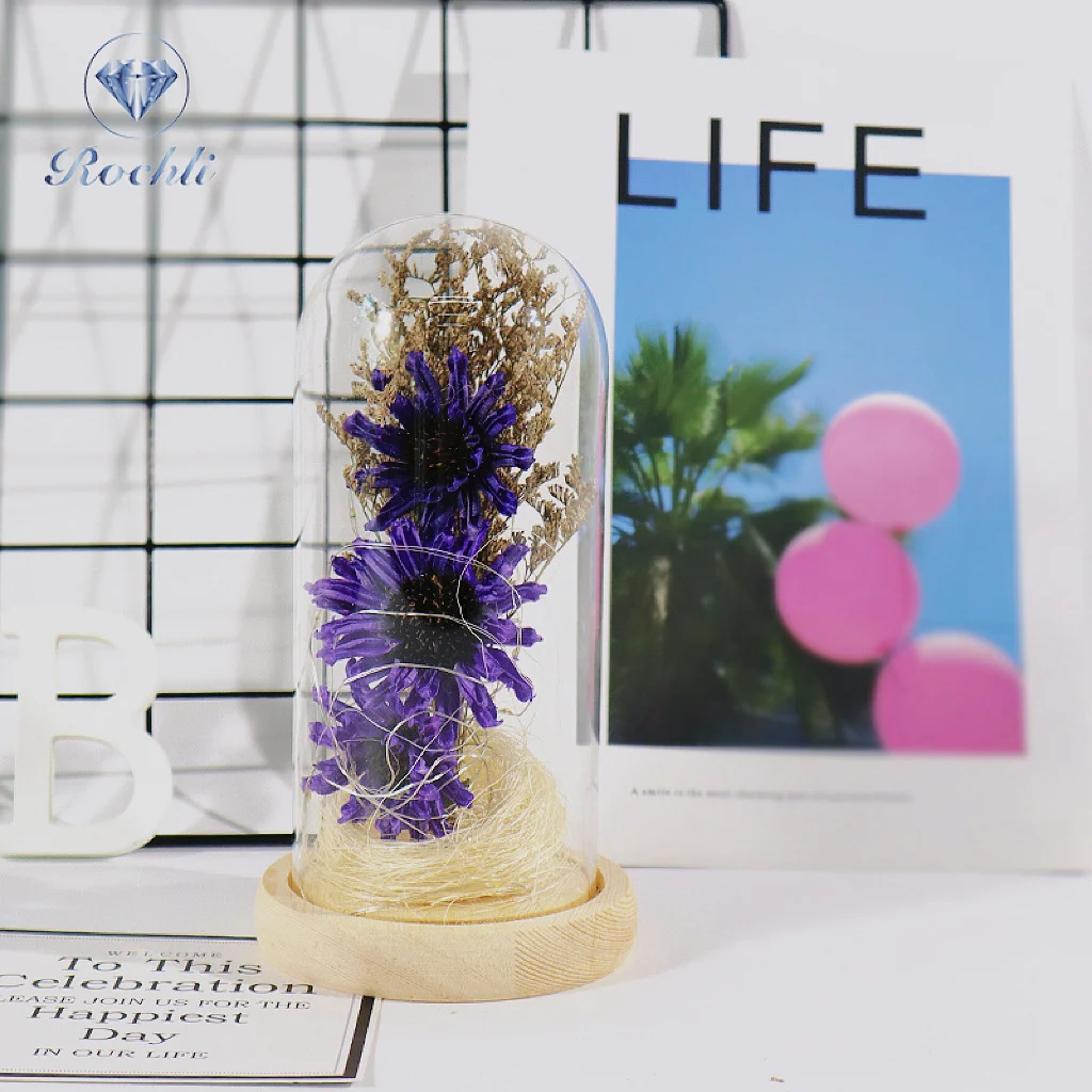 Eternal Flower Glass Cover Base with Lamp Dry Flower Teacher's Day Christmas Decoration Crafts Simulation Flower Lighting
