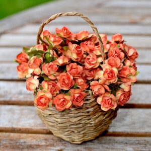 All Flowers